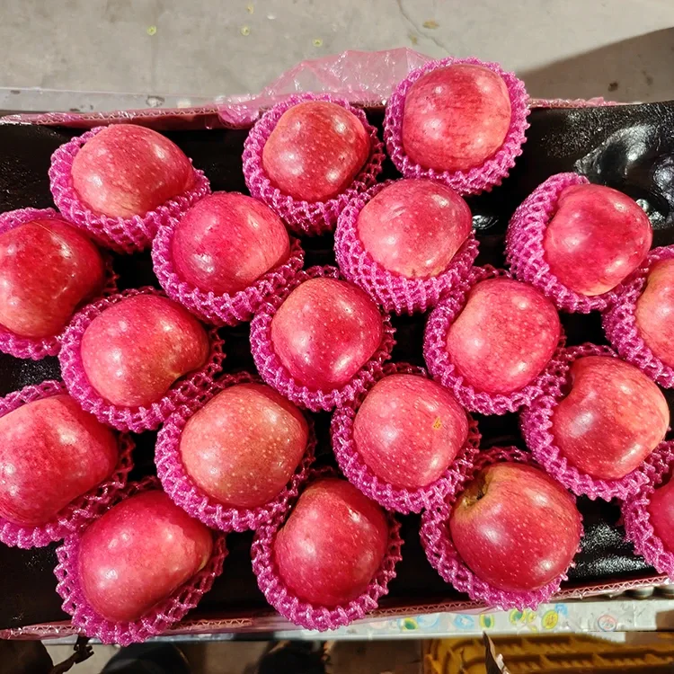 اعلیٰ تازہ جیگوان سیب